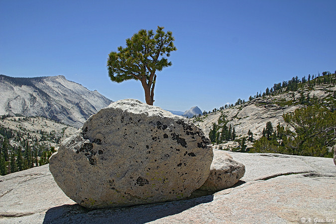 Yosemite